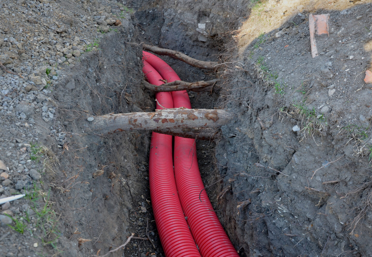 The Hidden Dangers Of Trees How Invasive Roots Can Damage Your Buried