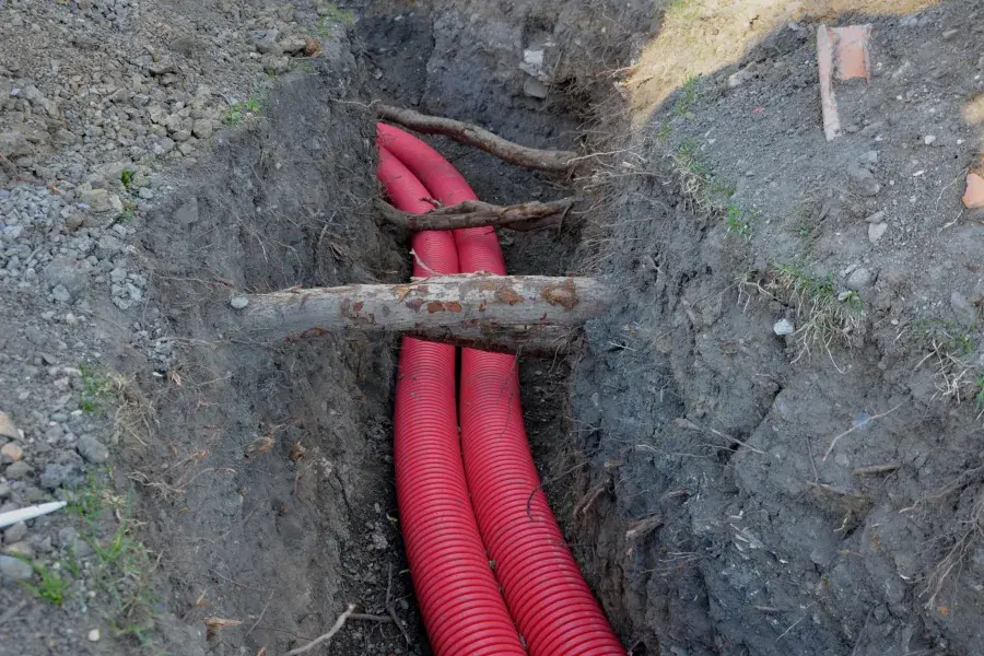 The Hidden Dangers of Trees: How Invasive Roots Can Damage Your Buried Utility Lines