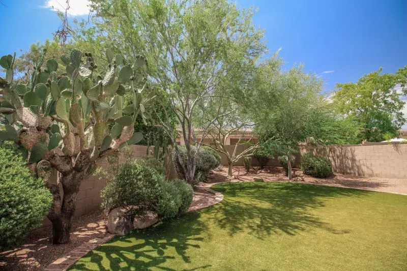 Ten Tips for Arizona Fire-Resistant Landscaping