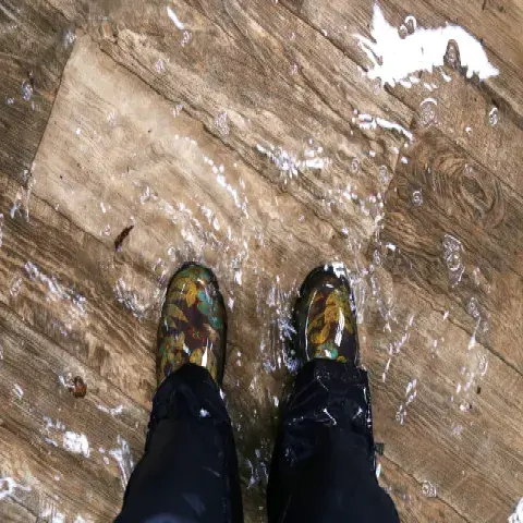 Steps to Take After a Flood: Filing a Claim