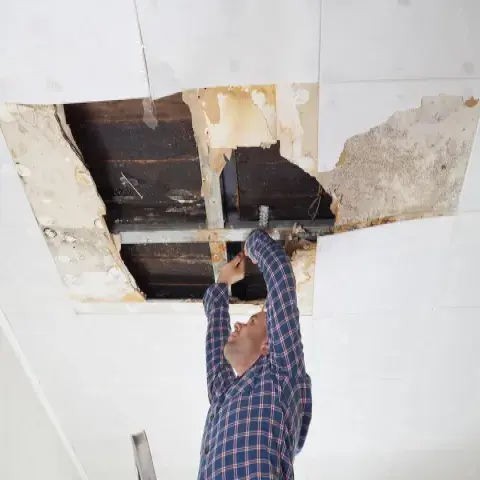 Why your homeowner’s insurance probably wasn’t renewed