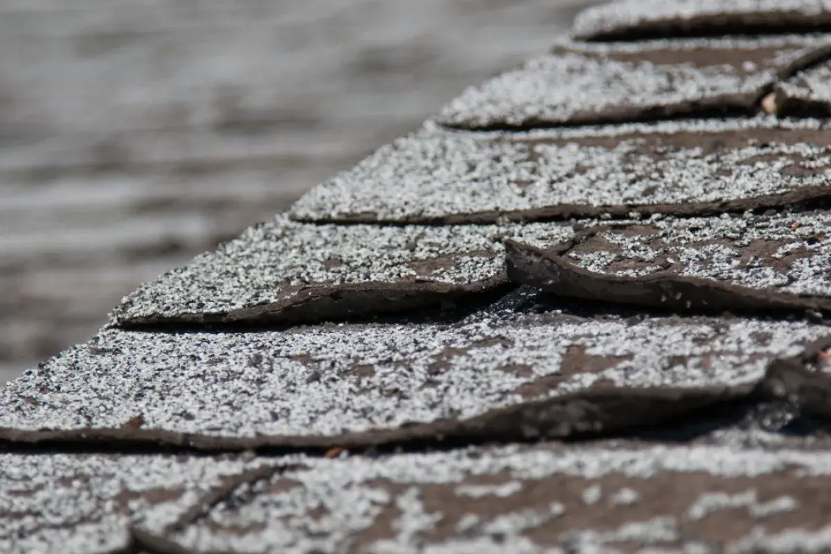 FHFA ACV Blod Main Photo