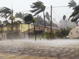 Hurricane blowing through a residential street
