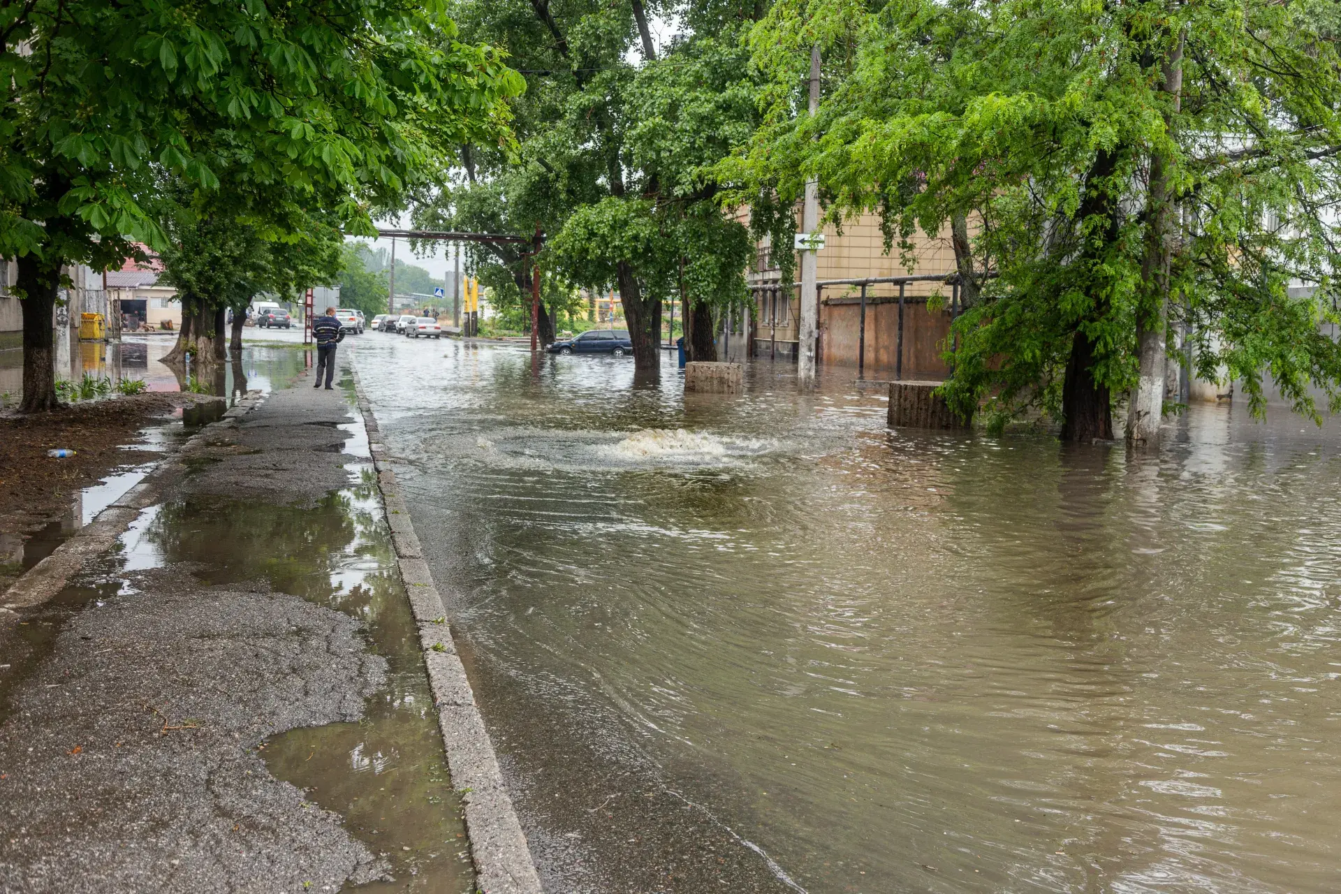 Flood