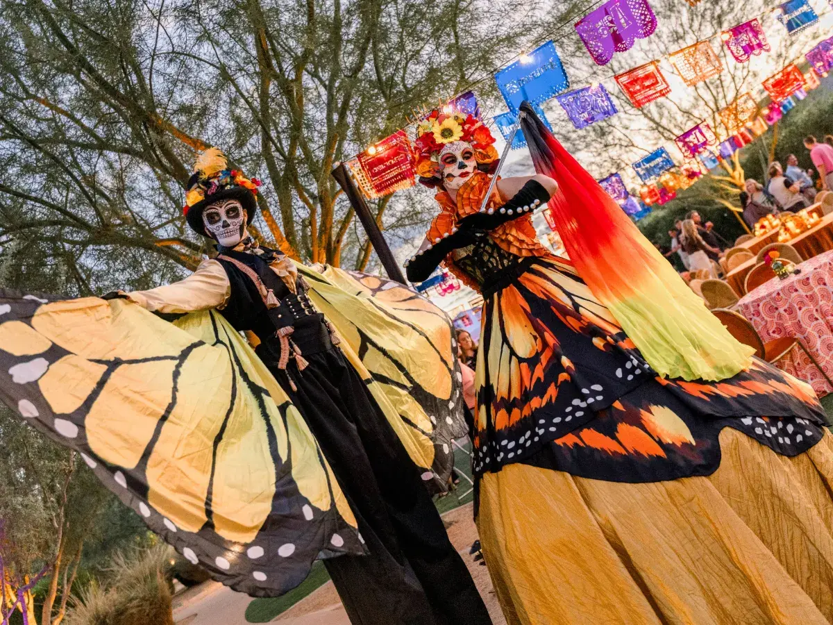 Viva Orion180 at Accelerate25