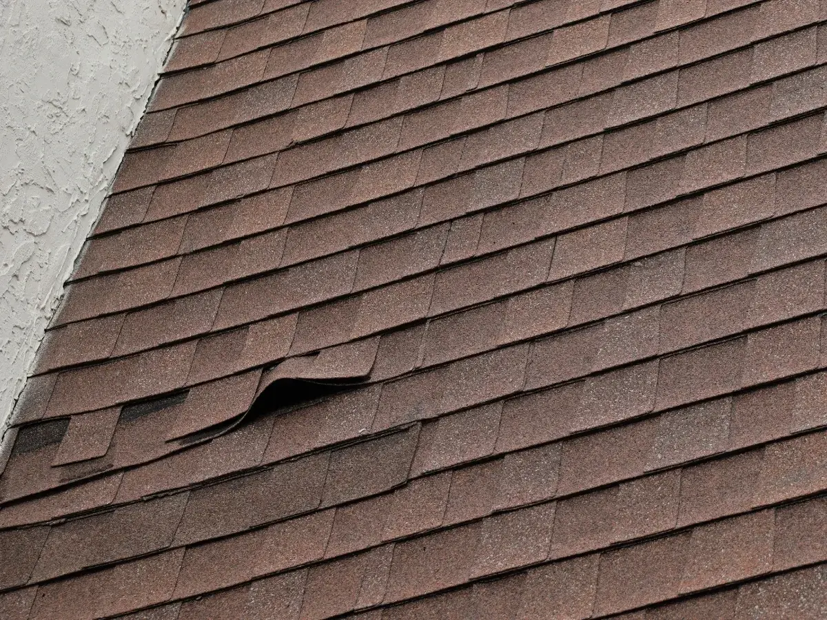 Checking Roof Shingles