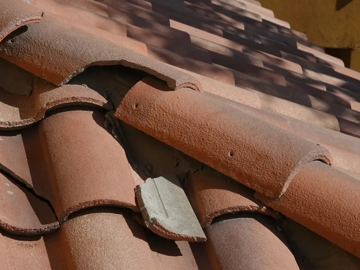 Damaged tile roof