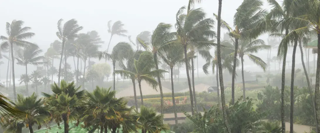 Be Prepared: Your Hurricane Preparedness Checklist
