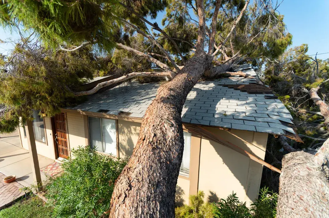  I Called In My Insurance Claim, Now What Happens in the Process?
