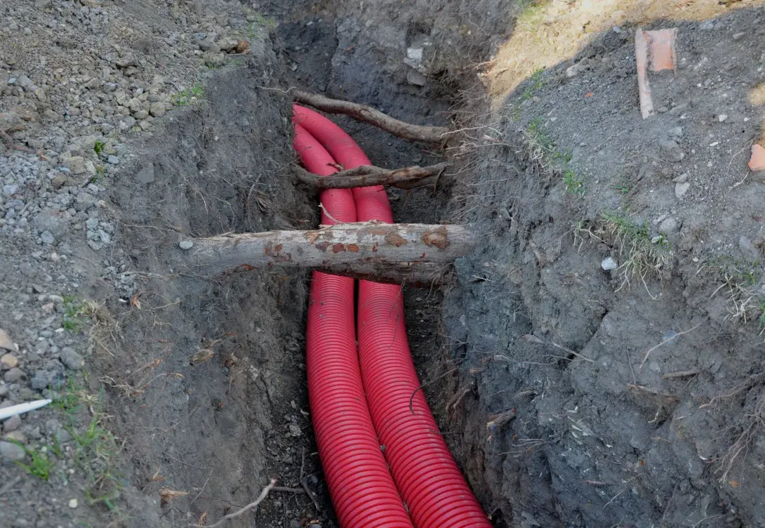 The Hidden Dangers of Trees: How Invasive Roots Can Damage Your Buried Utility Lines